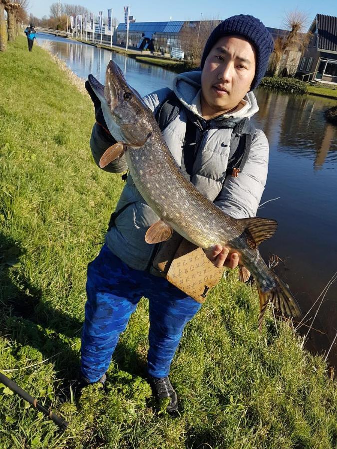 Camping De Oude Rijn Ter Aar Eksteriør bilde