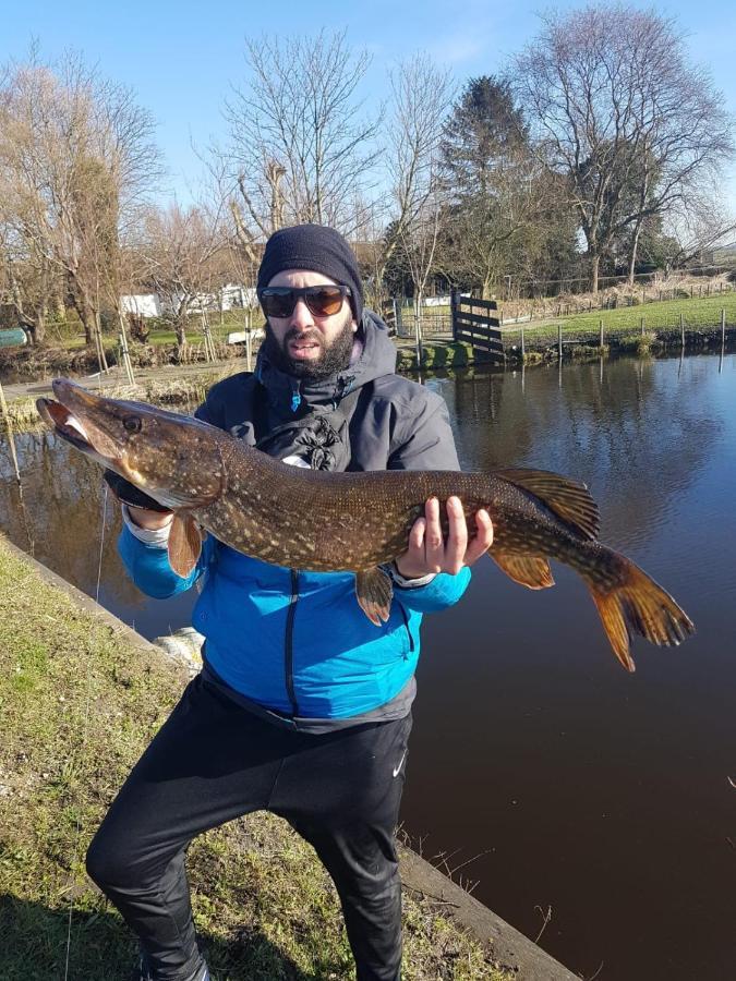 Camping De Oude Rijn Ter Aar Eksteriør bilde